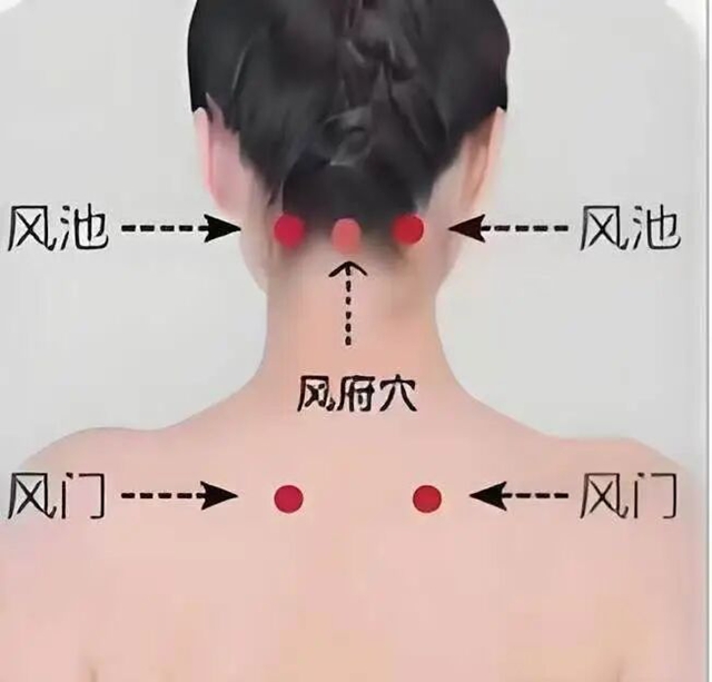 命７.jpg