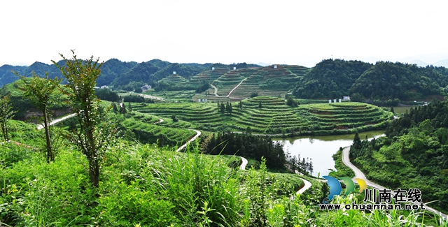 龙山行(图1) 1.jpg