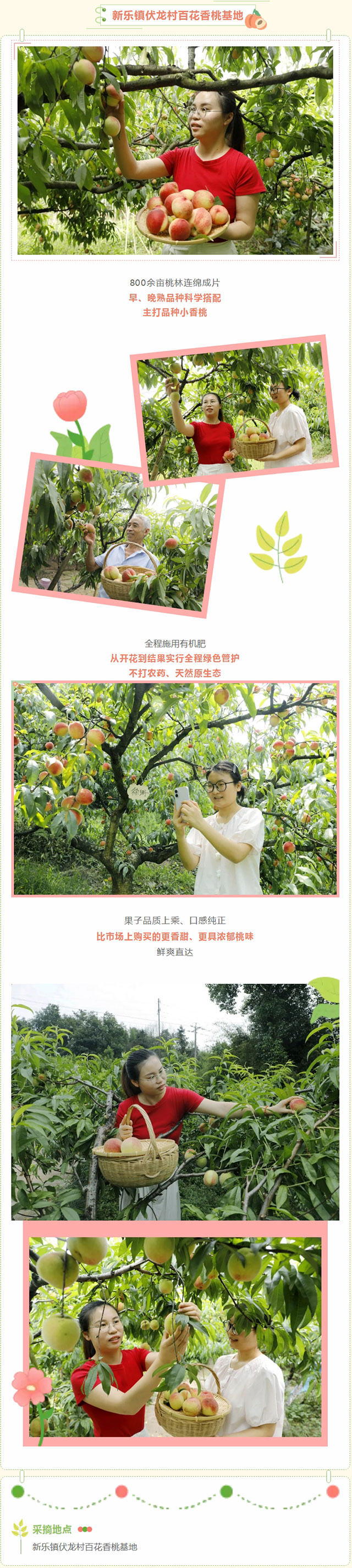 屏幕截图_23-5-2026_102954_mp.weixin.qq.com.jpg