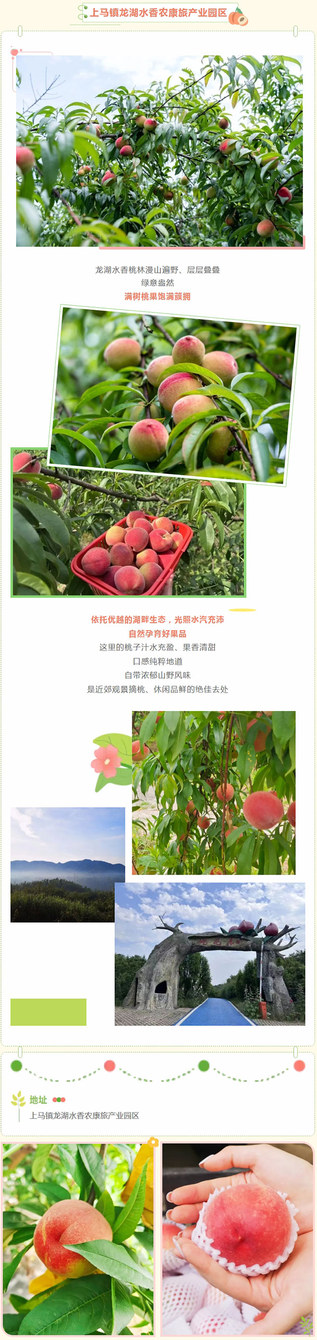 屏幕截图_23-5-2026_103027_mp.weixin.qq.com.jpg