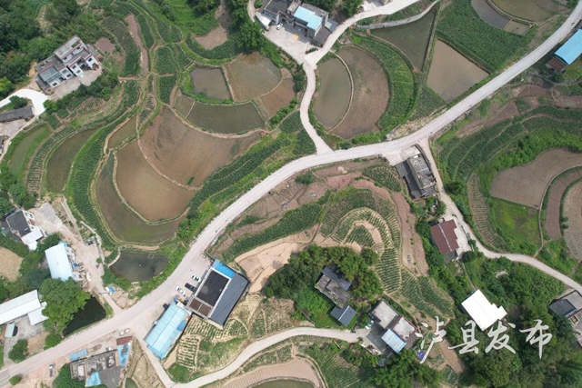 预计明年4月完工!泸县这条道路正在升级中(图1) 路1.jpg