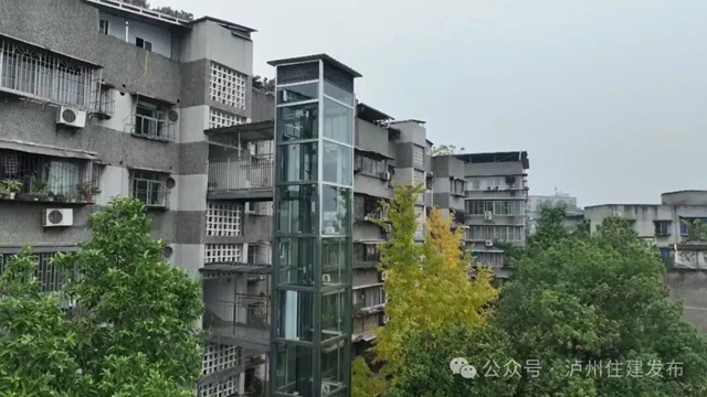 电1.jpg