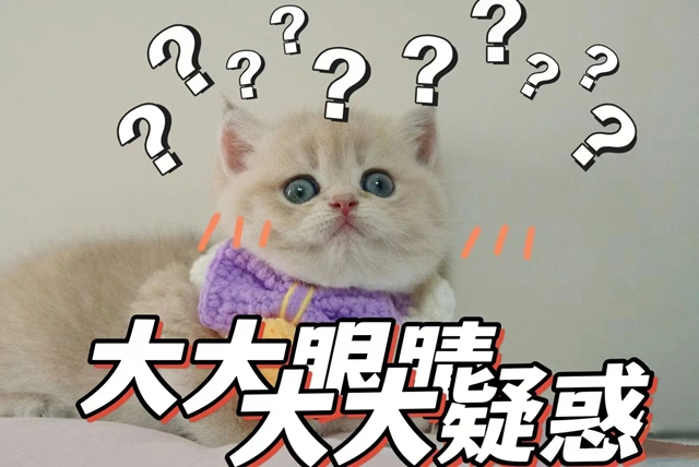 艾3.jpg