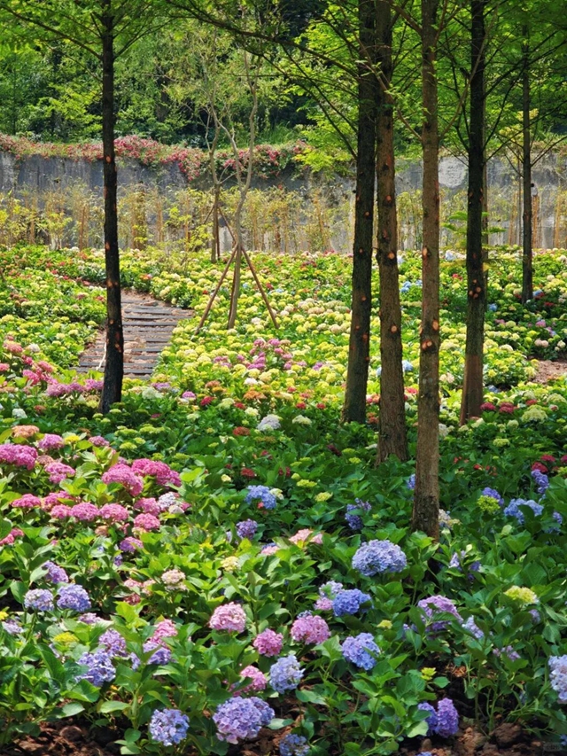 花2.jpg