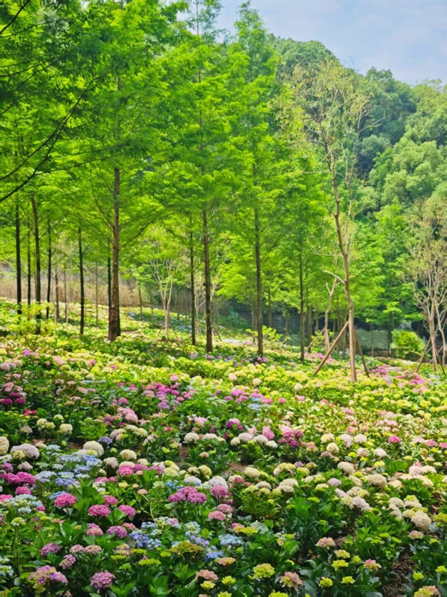 花1.jpg