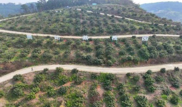 泸州2个案例入选四川省大中型水库移民后续发展典型案例(图2) 2.jpg