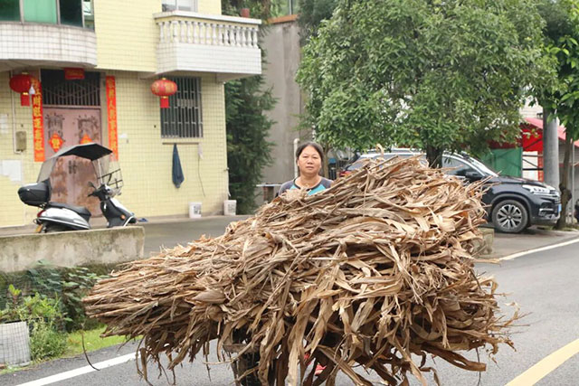 500斤秸秆换100斤化肥,纳溪区这个村如何变废为宝?(图1) 1.jpg