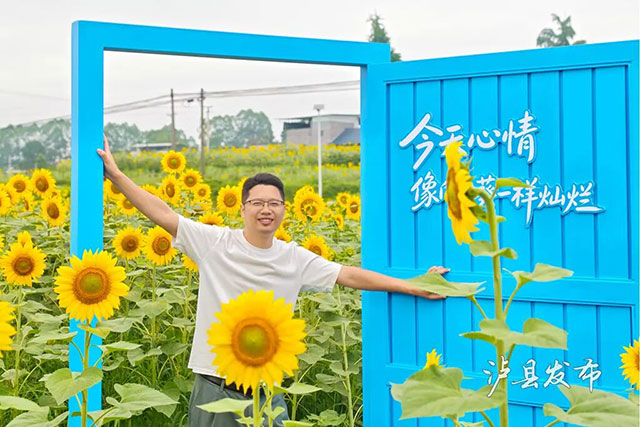 今天开园!泸县这500亩向日葵花海藏不住了(图19) 19.jpg