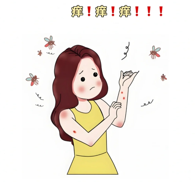 飞1.jpg