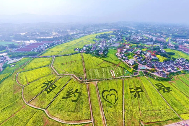 泸县1.jpg