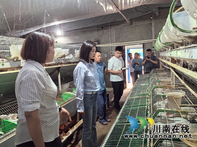 走基层·访归雁,泸县暖心护航返乡入乡创业企业(图1) 4ccacb8bbe0c1f6ab7b0f66b25717419.jpg