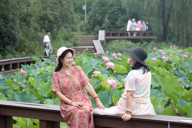 龙马潭有来自太空的荷花,你看过吗?(图8) 8.jpg