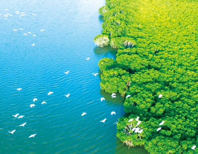 7月1日起,首都航空开通海口-泸州-石家庄航线(图7) 航7.jpg