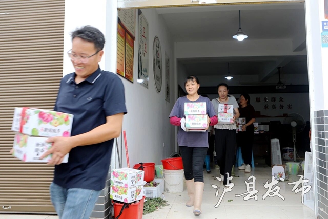 藏不住了,泸县这里的李子有自己的溯源直播(图6) 李6.jpg