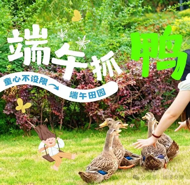 泸州端午超全玩法!20余场文旅活动集结,承包你的假期(图3) 3.jpg