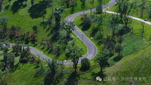 休闲打卡地+1!泸州柏木溪生态公园开放试运行(图9) 9.jpg