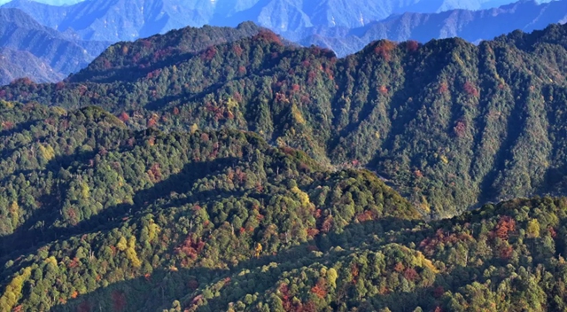端午去哪儿玩?古蔺美景盛会一站式安排(附攻略)(图11) 11.jpg