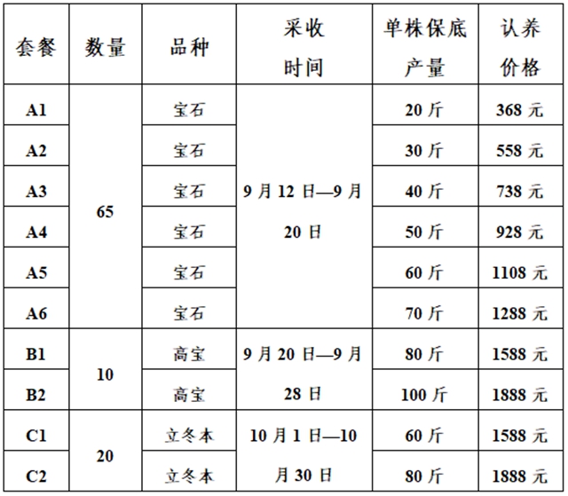 走!在泸县认养一棵龙眼树,今年龙眼管够(图3) 龙3.jpg