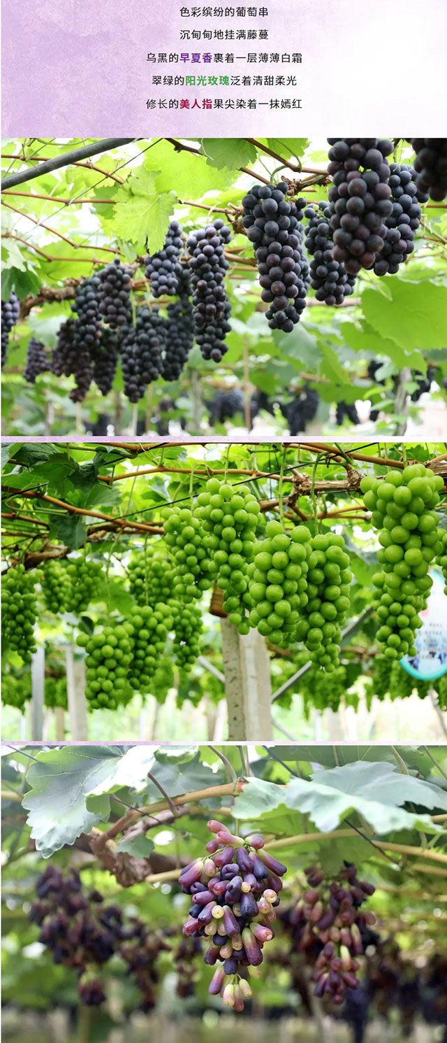 屏幕截图_20-6-2026_222627_mp.weixin.qq.com.jpg