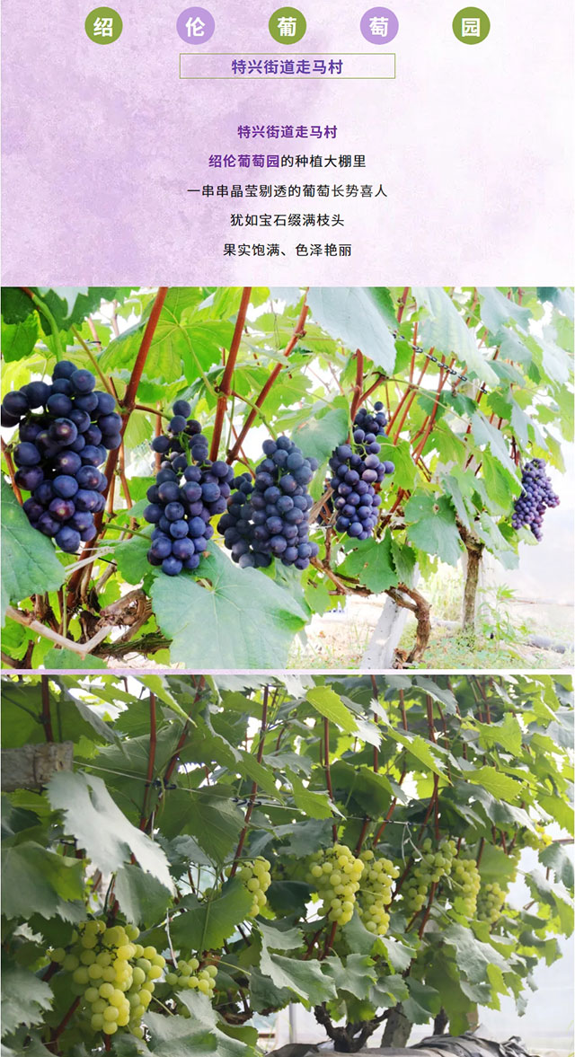 屏幕截图_20-6-2026_222752_mp.weixin.qq.com.jpg