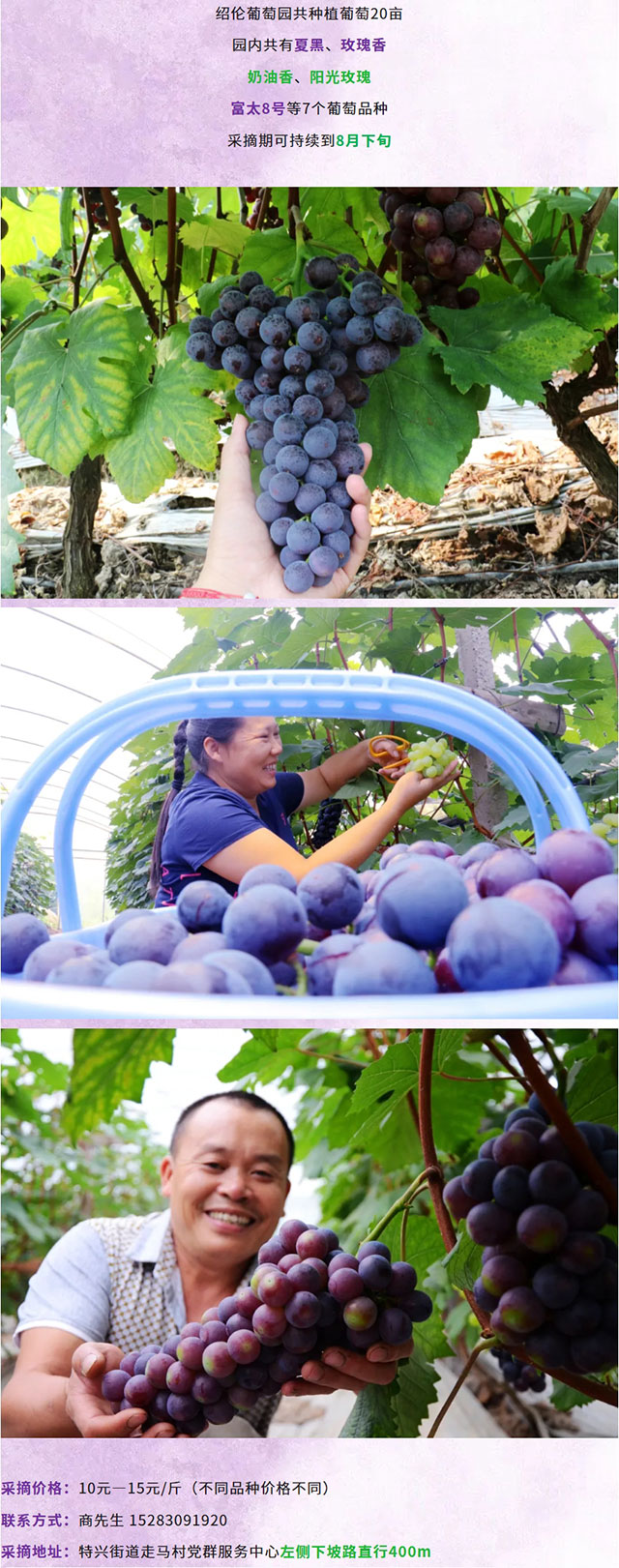 屏幕截图_20-6-2026_22297_mp.weixin.qq.com.jpg