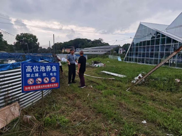 合江3.jpg