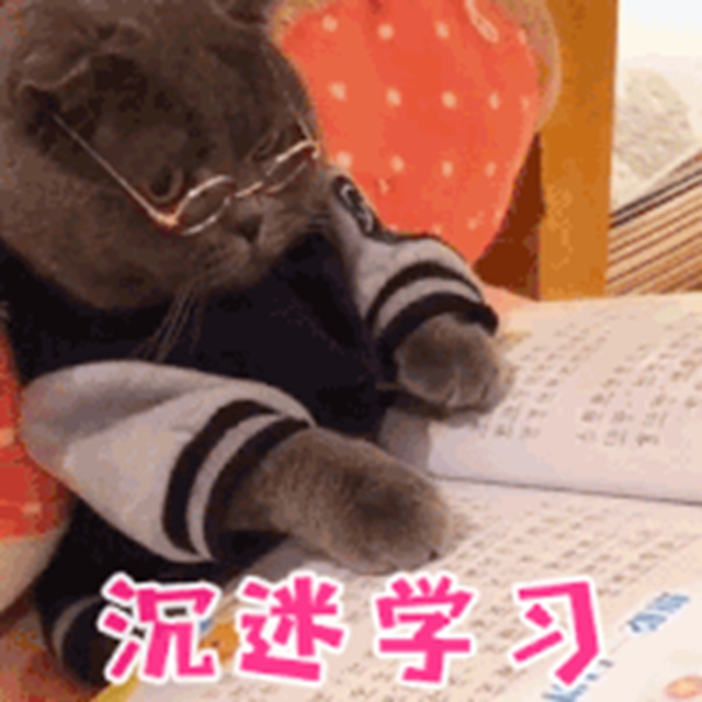 甲2.jpg