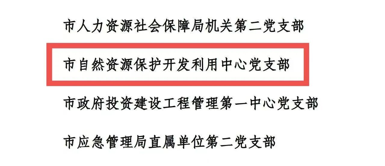 泸州市自然资源和规划系统这些集体和个人获表彰(图1) 支1.jpg