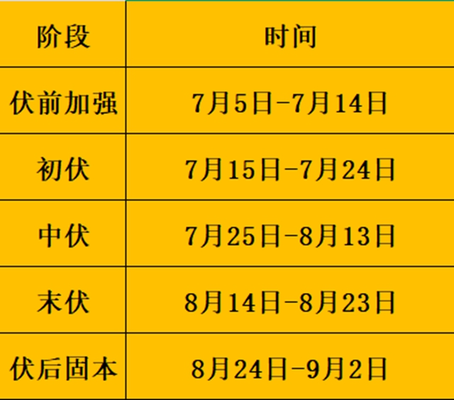 @所有人,三伏将至,合江县中医医院7月5日“三伏贴”开贴(图1) 伏1.jpg