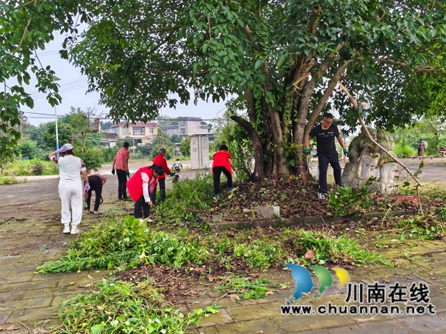 党建引领微治理 修剪绿化焕新颜|泸县玉蟾街道龙桥社区党员民生实事行动落地见效(图3) 龙3 (1).jpg