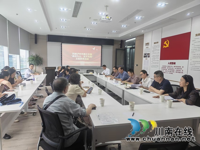 民建泸州市属五支部开展“参政为公、实干为民”主题教育(图1) 图一.jpg