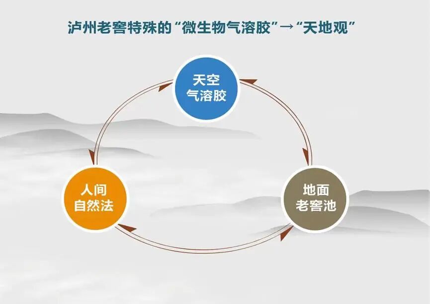 〔读城〕泸州酒脉“二象论”——从量子思维看泸州酿酒历史厚度与文化深度(图8) 8.jpg