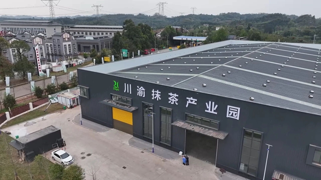 茶夕茉语|纳溪造抹茶首店开业!福利拉满(图9) 9.jpg