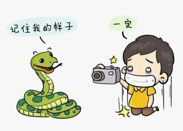 夏天蛇出没高发!遛弯爬山都可能遇上,被咬伤别用嘴吸(图7) 蛇7.jpg
