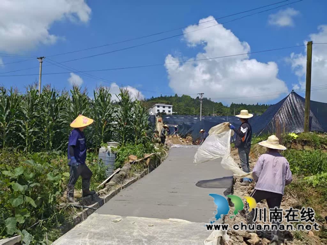 古蔺黄荆:以基础设施之“实” 筑森林“四库”之“基”(图6) 6.jpg
