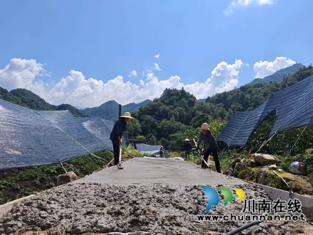 古蔺黄荆:以基础设施之“实” 筑森林“四库”之“基”(图5) 5.jpg
