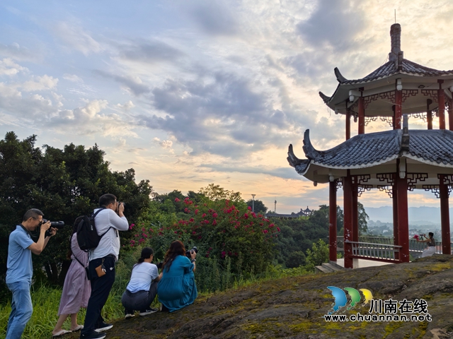 镜头绘红粱 光影振乡村|泸县摄协组织公益摄影培训班赴谭坝高粱基地采风并开展优秀会员表彰(图5) 学员们采风现场2(曾佐然摄).jpg