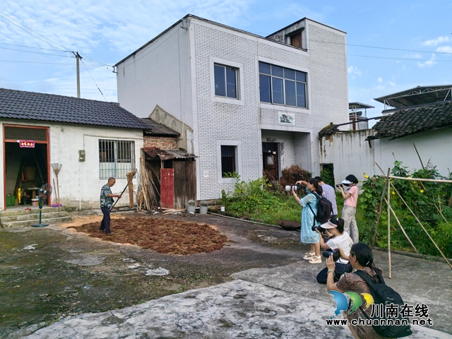 镜头绘红粱 光影振乡村|泸县摄协组织公益摄影培训班赴谭坝高粱基地采风并开展优秀会员表彰(图4) 学员们采风现场1(曾佐然摄).jpg
