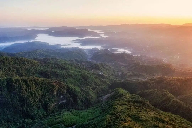 宜宾老君山:拍到珍稀鸟类林间育雏画面,太美了!(图1) 山1.jpg