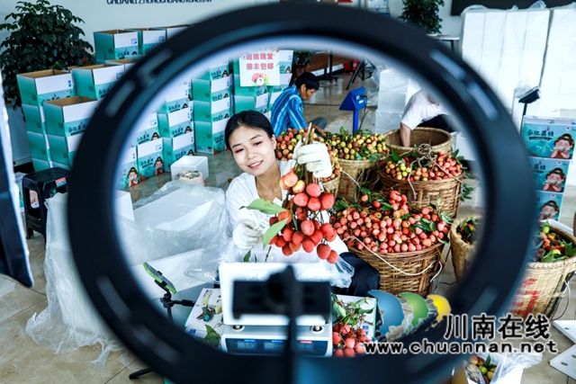 千年荔藏史 一水系文根——谈谈深耕合江荔枝文化研究实施路径(图4) 4.jpg