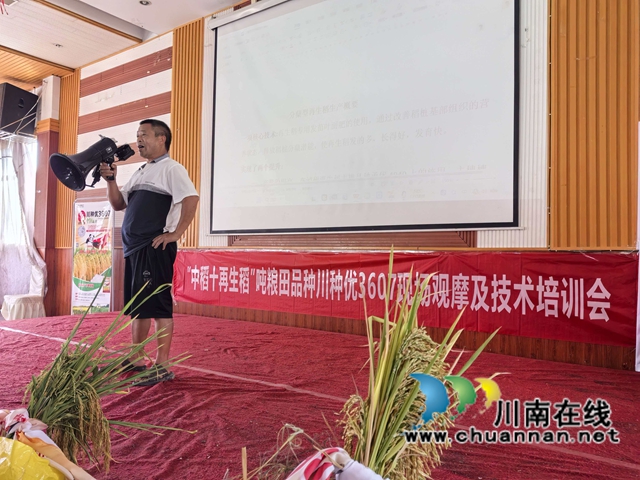 田边看禾选种,让泸县农户爱上川种优3607“超级稻”(图6) 曾德全分享自己种植心得(曾佐然摄).jpg