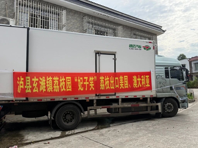 荔枝１.jpg