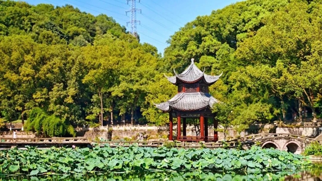 因诸葛亮得名 泸州首个城市公园仍在“发力”(图2) 2.jpg