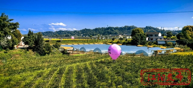 川南首个!江阳区获批→(图3) 批3.jpg