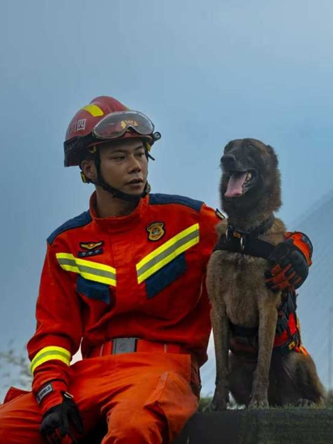 全网寻找狗主人!泸州3只搜救犬退役,正公开征集领养(图12) 15.jpg