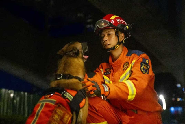 全网寻找狗主人!泸州3只搜救犬退役,正公开征集领养(图8) 11.jpg