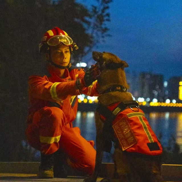 全网寻找狗主人!泸州3只搜救犬退役,正公开征集领养(图11) 14.jpg