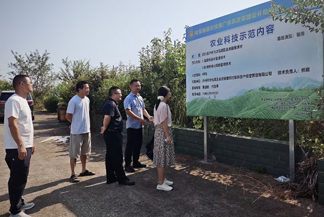 助力乡村振兴|泸州公交集团赴结对帮扶村开展调研走访工作(图5) 5.jpg
