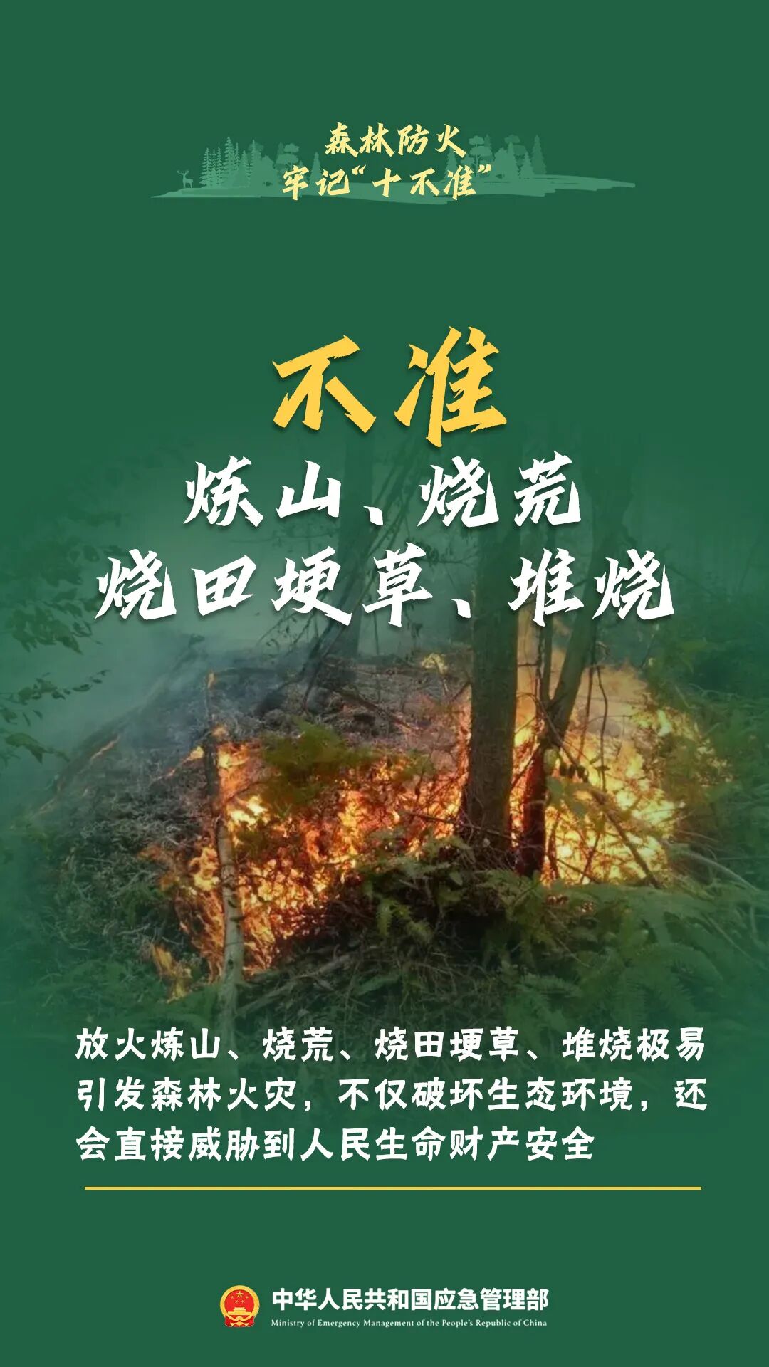 违规用火引发森林火情,当事人赔偿11万元丨泸州通报多起典型案例(图6) 16.jpg