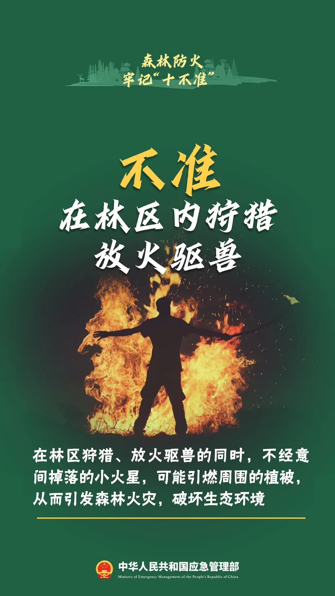 违规用火引发森林火情,当事人赔偿11万元丨泸州通报多起典型案例(图9) 19.jpg